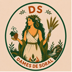 DS DS